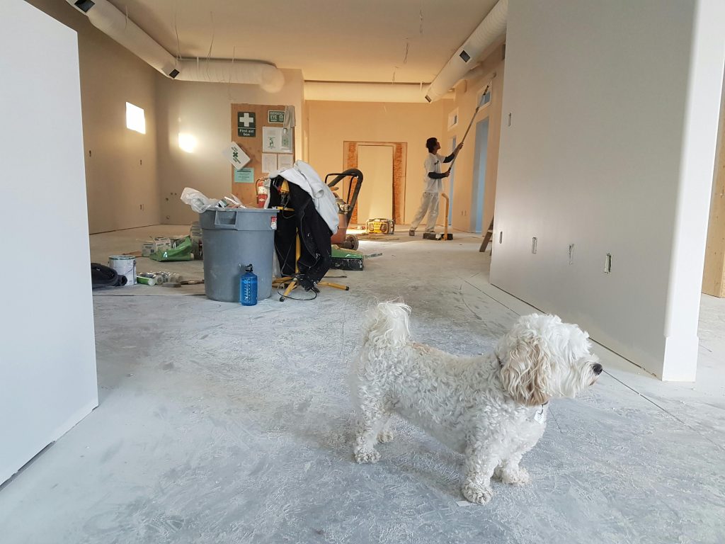 Painting the walls